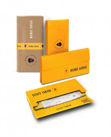 Палантин Женский SN40-FL.ABSTRAITE/PASTEL